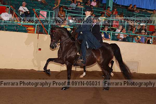Proof 09yn-05031