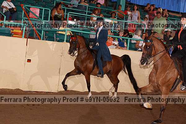 Proof 09yn-05032