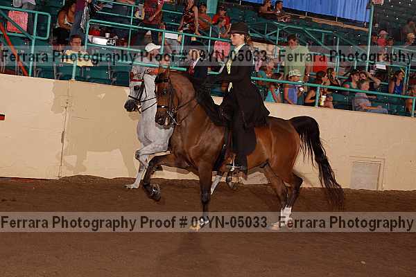 Proof 09yn-05033