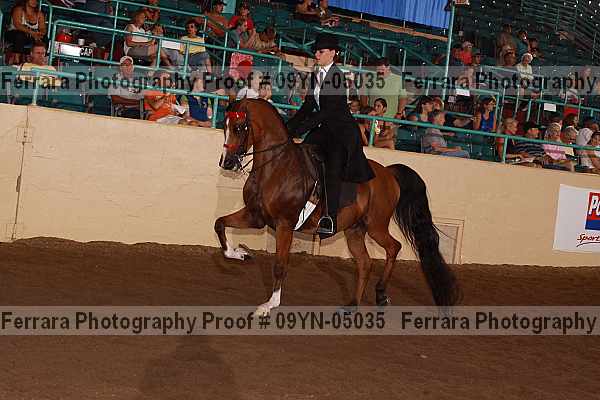 Proof 09yn-05035
