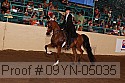 09yn-05035 proof