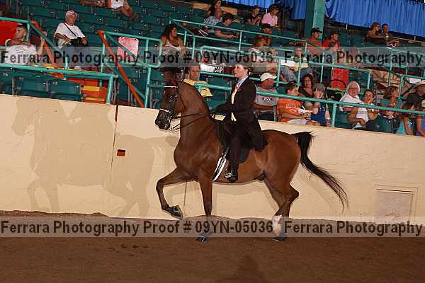 Proof 09yn-05036