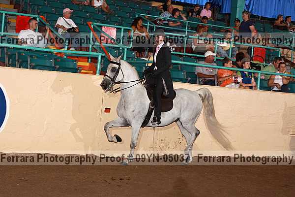 Proof 09yn-05037