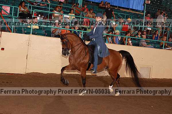 Proof 09yn-05038