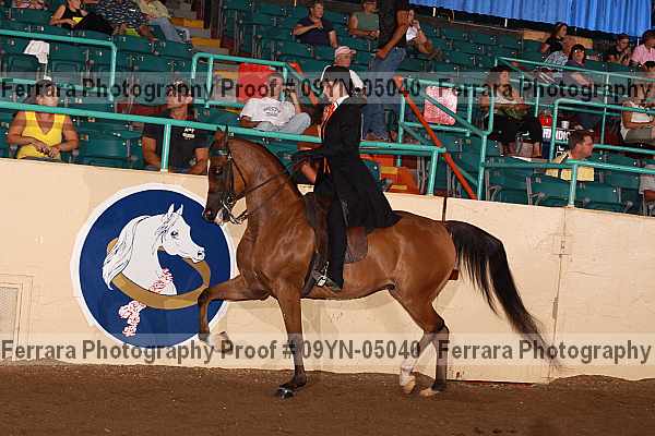 Proof 09yn-05040