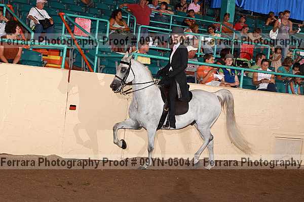 Proof 09yn-05041