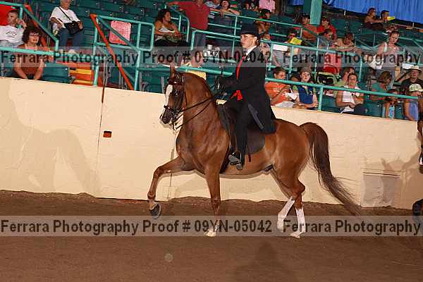 Proof 09yn-05042