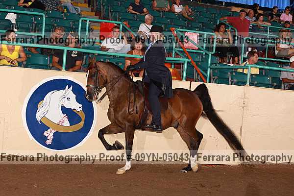 Proof 09yn-05043