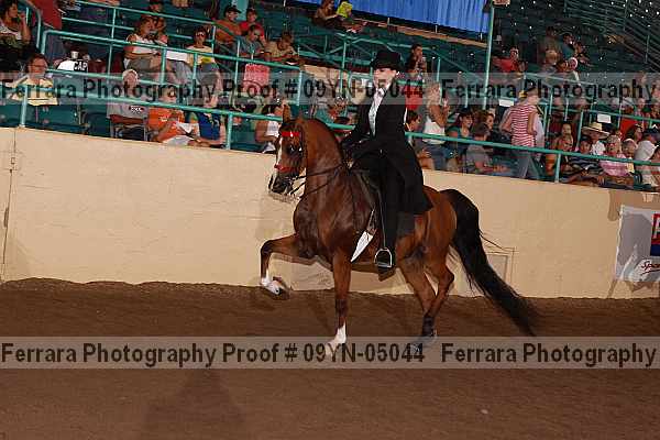 Proof 09yn-05044