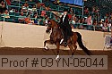09yn-05044 proof