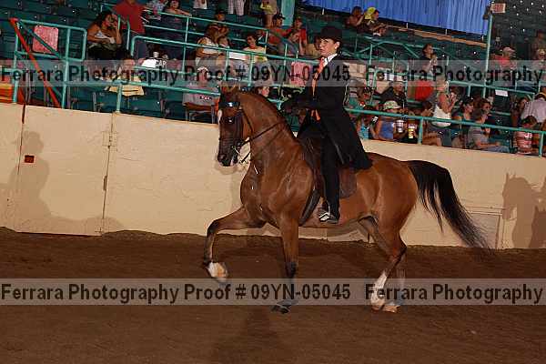 Proof 09yn-05045