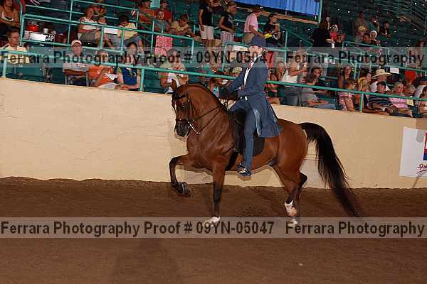 Proof 09yn-05047