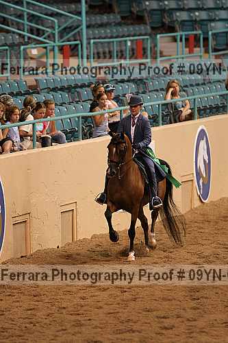 Proof 09yn-05049