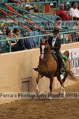 Proof 09yn-05055
