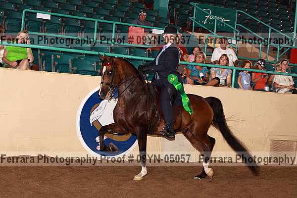 Proof 09yn-05057