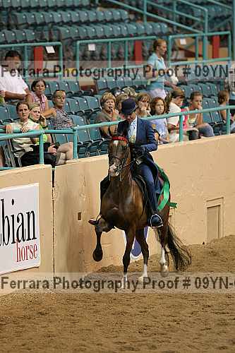 Proof 09yn-05060