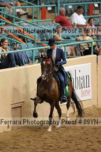Proof 09yn-05061