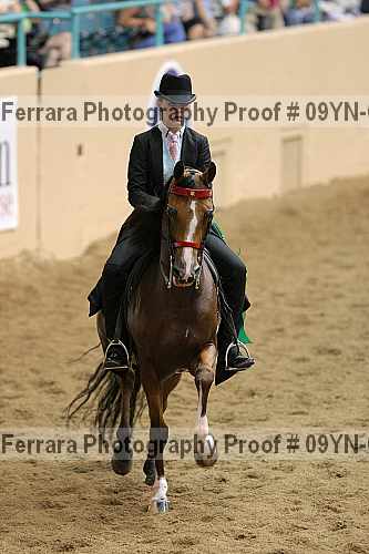 Proof 09yn-05068