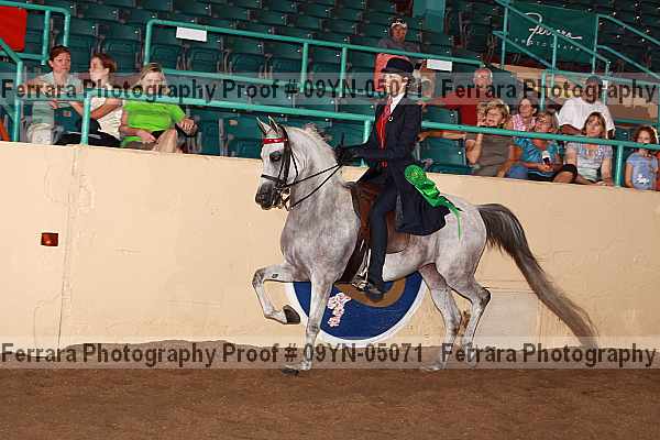 Proof 09yn-05071