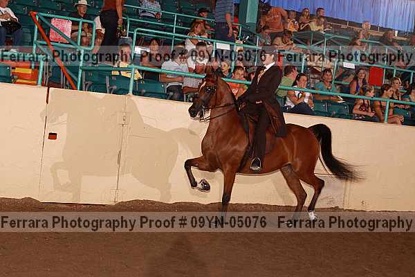 Proof 09yn-05076