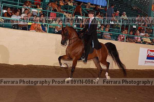 Proof 09yn-05077