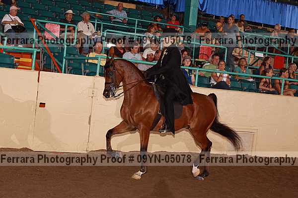Proof 09yn-05078