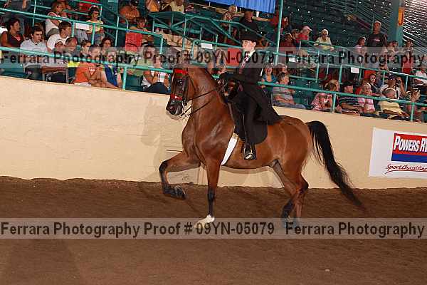 Proof 09yn-05079