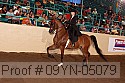 09yn-05079 proof
