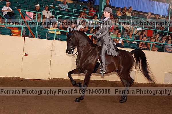 Proof 09yn-05080