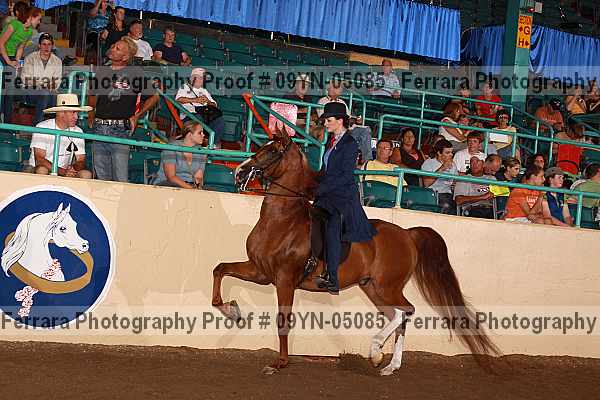 Proof 09yn-05085