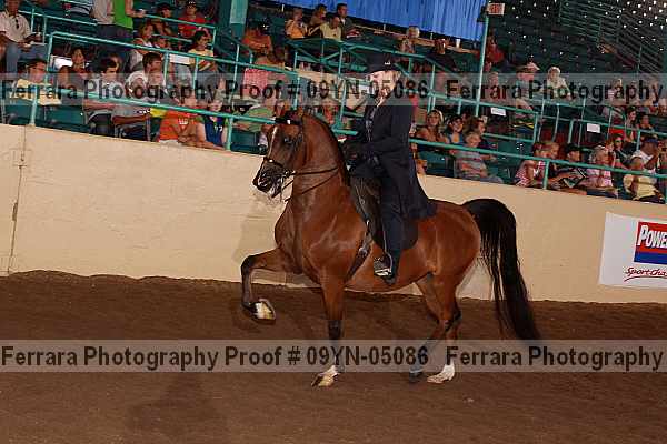 Proof 09yn-05086