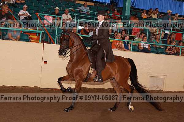 Proof 09yn-05087
