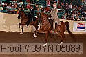 09yn-05089 proof