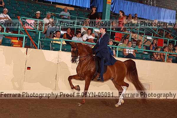 Proof 09yn-05091