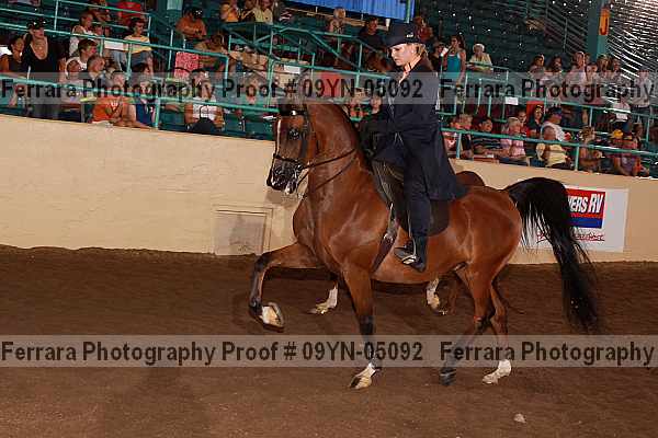 Proof 09yn-05092