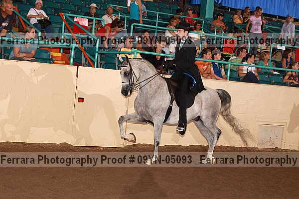 Proof 09yn-05093