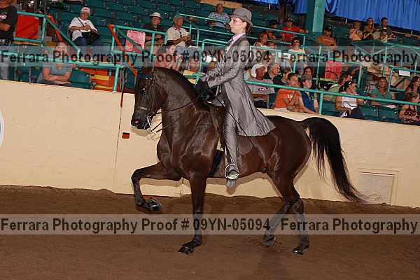 Proof 09yn-05094