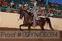 09yn-05094 proof