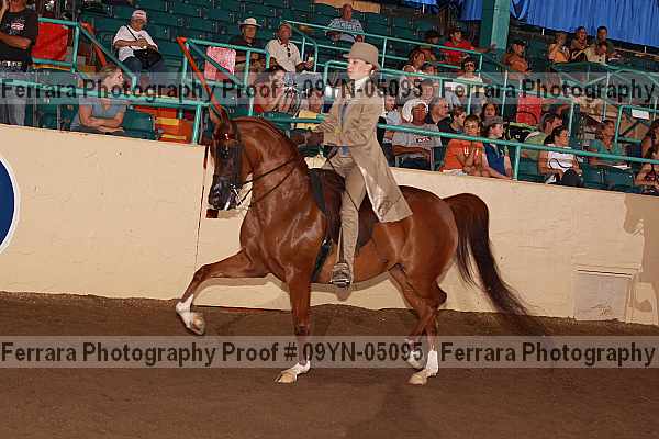 Proof 09yn-05095