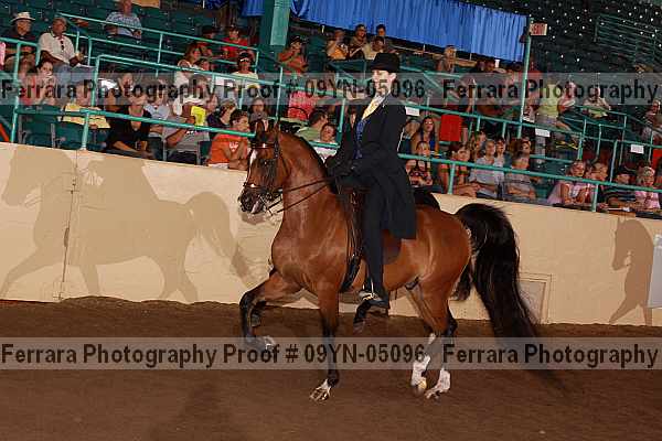 Proof 09yn-05096