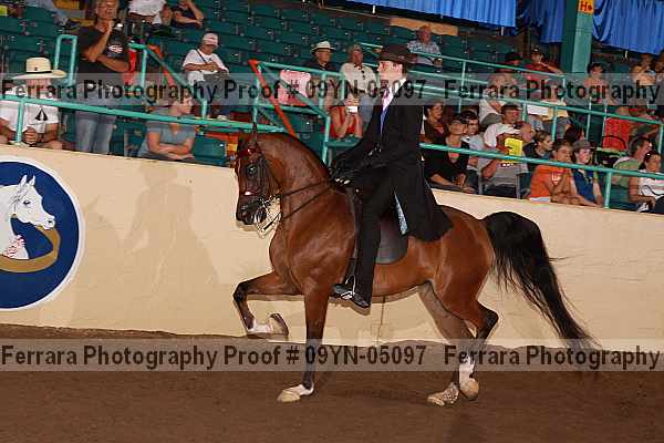 Proof 09yn-05097