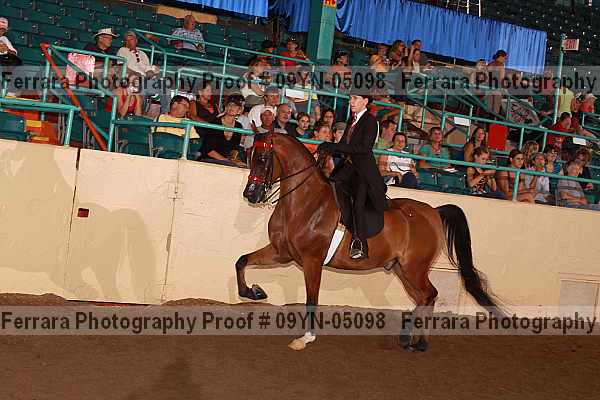 Proof 09yn-05098
