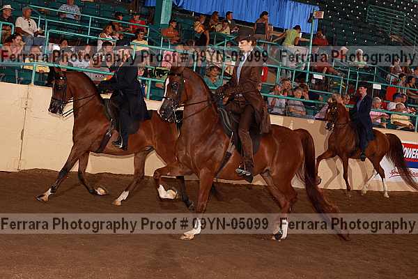 Proof 09yn-05099