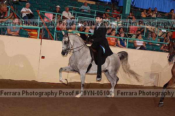Proof 09yn-05100