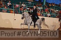 09yn-05100 proof