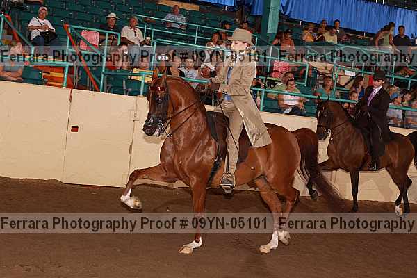 Proof 09yn-05101