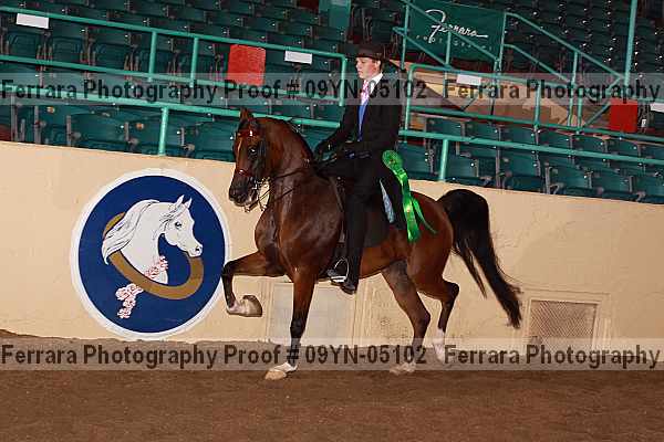Proof 09yn-05102