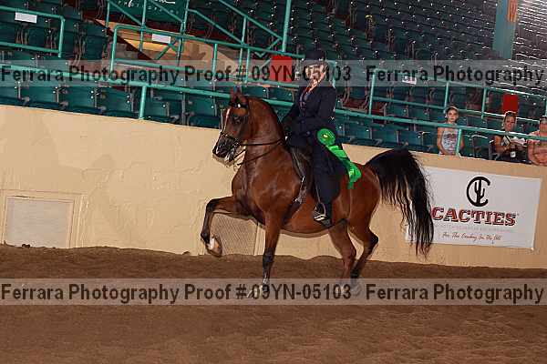 Proof 09yn-05103