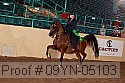 09yn-05103 proof