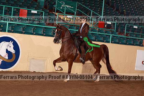 Proof 09yn-05104